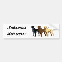Labrador Retriever colours Bumper Sticker
