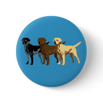 Labrador Retriever colours