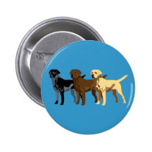 Labrador Retriever colours Buttons