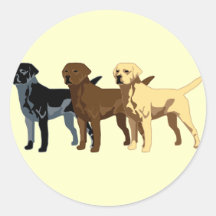 Labrador Retriever colours Sticker