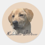 Labrador Retriever Gifts Round Stickers