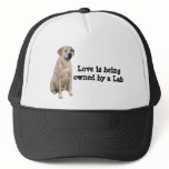 Labrador Retriever Hat