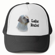 Labrador Retriever Hat