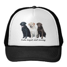 Labrador Retriever Hat