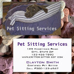 Labrador Retriever In Bed business cards