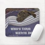 Labrador Retriever In Bed mousepads