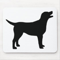 Labrador Retriever (in black)