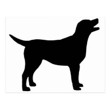 Labrador Retriever (in black) Post Cards