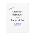 Labrador Retriever Love at First Lick postcards