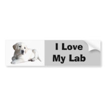 Labrador Retriever Love Bumper Sticker