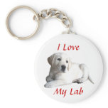 Labrador Retriever Love Keychain