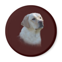Labrador Retriever Magnet