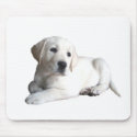Labrador Retriever Mousepad