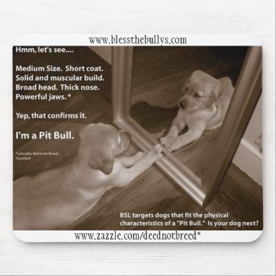 Labrador Retriever Mousepad by deednotbreed