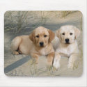 Labrador Retriever Mousepad Puppies