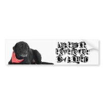 Labrador Retriever on Board