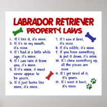 LABRADOR RETRIEVER PL2