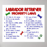 LABRADOR RETRIEVER PL2 PRINT