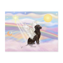 Labrador Retriever Postcard