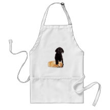 Labrador Retriever Puppies Playing Aprons