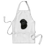 Labrador Retriever Puppy 9Y270D-041 aprons