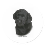 Labrador Retriever Puppy 9Y270D-041 stickers