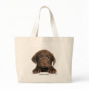 Labrador Retriever puppy 9Y270D-050 bags