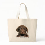 Labrador Retriever puppy 9Y270D-050 bags