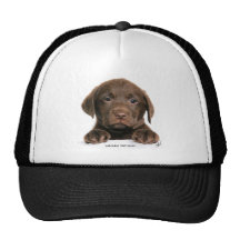 Labrador Retriever puppy 9Y270D-050 Mesh Hat