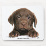 Labrador Retriever puppy 9Y270D-050 Mouse Pads