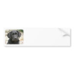 Labrador Retriever Puppy 9Y415D-042 Bumper Sticker