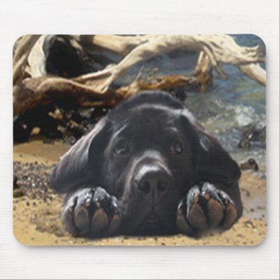 Labrador Retriever Puppy On Beach Mousepad by normagolden