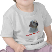Labrador Retriever Toddler T-Shirt