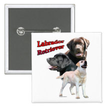 Labrador Retriever Trio 2 - Button