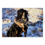 Labrador Retriever with Drake Mallard Greeting Cards