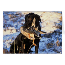 Labrador Retriever with Drake Mallard Greeting Cards