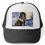 Labrador Retriever with Drake Mallard hats