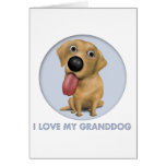Labrador Retriever (Yellow) Granddog cards