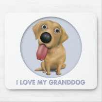 Labrador Retriever (Yellow) Granddog