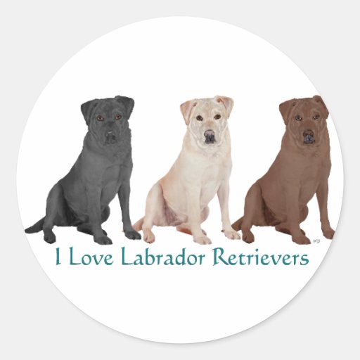 Labrador Retrievers - 3 Colours to Love Round Sticker