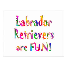 Labrador Retrievers are Fun Postcards