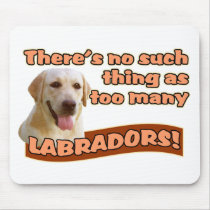 LABRADOR RETRIEVERS