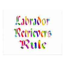 LABRADOR RETRIEVERS RULE POST CARD