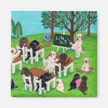 Labrador School Magnets