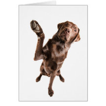 Labrador with a Big High Five Greeting Cards