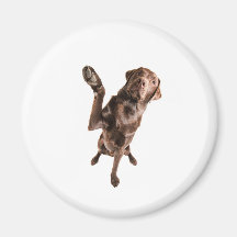 Labrador with a Big High Five Refrigerator Magnet