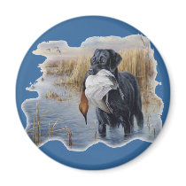 Labrador with Duck- Duck Hunting