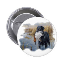Labrador with Duck- Duck Hunting Pinback Button
