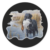 Labrador with Duck- Duck Hunting