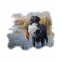 Labrador with Duck- Duck Hunting t-shirts